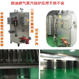 柴油蒸汽发生器在广州宇益工厂的应用 200公斤免手续蒸汽锅炉助力饮料食品及化妆品行业